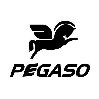 Pegaso
